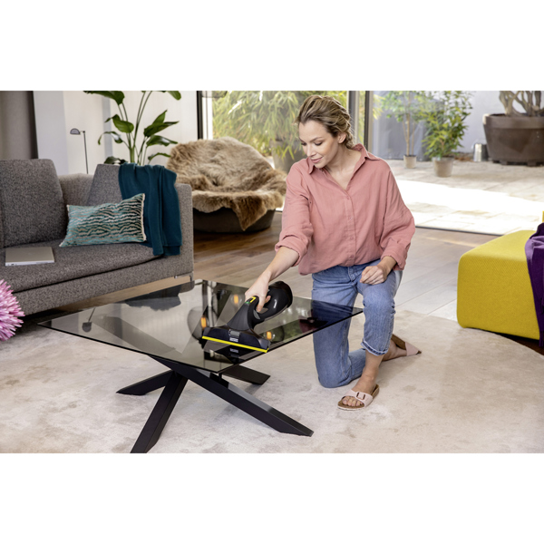 Karcher WV 5 Anniversary Window Vacuum