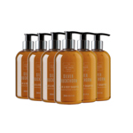 Silver Buckthorn Hair & Body Wash (6 x 300ml) thumbnail